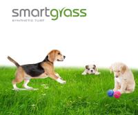 Smart Grass USA image 2